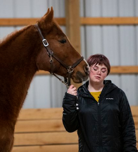 therapy horse