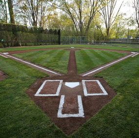 Wiffle ball yard