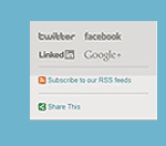 Social Networking Icon