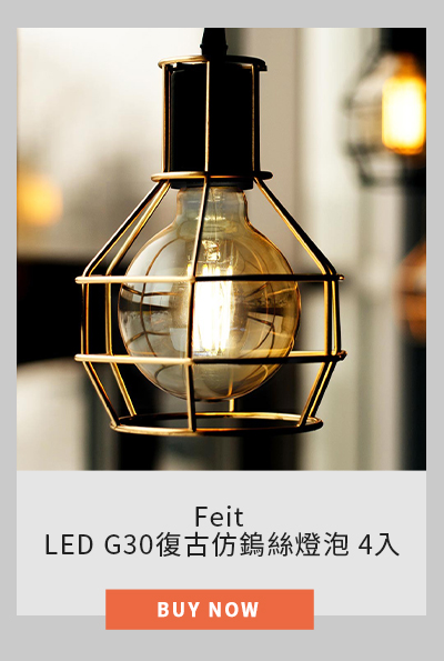 Feit LED G30復古仿鎢絲燈泡 4入