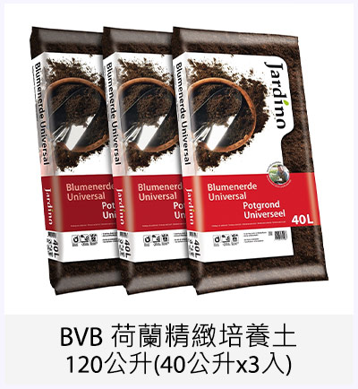 BVB 荷蘭精緻培養土120公升(40公升x3入)