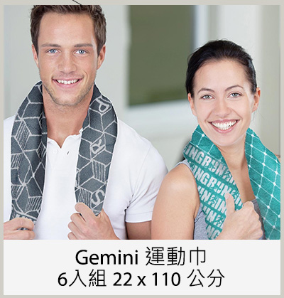 Gemini 運動巾6入組 22 x 110 公分