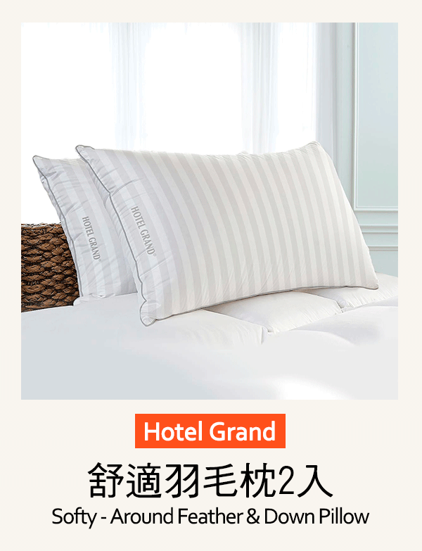 Hotel Grand 舒適羽毛枕2入