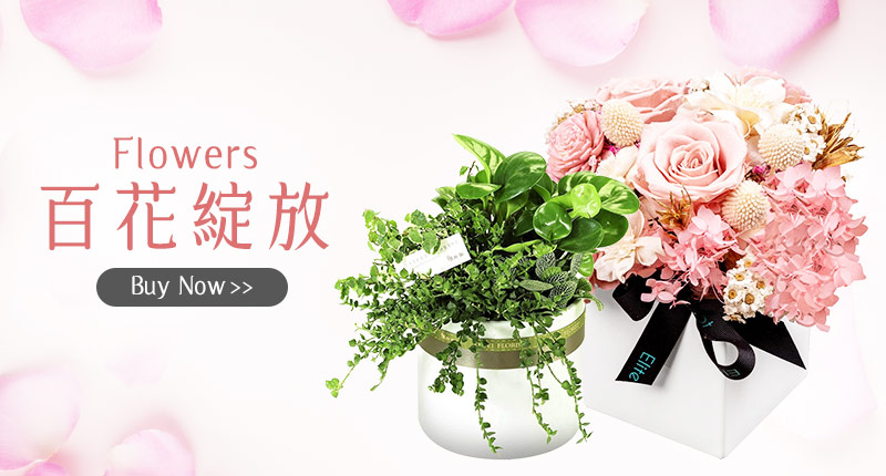 百花綻放Flowers