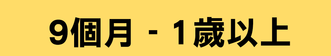 9個月 - 1 歲以上