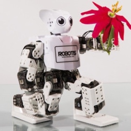 Robotis Mini