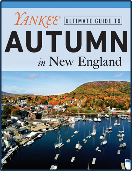 Ultimate Guide to Autumn