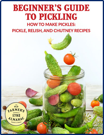 Guide to Pickling