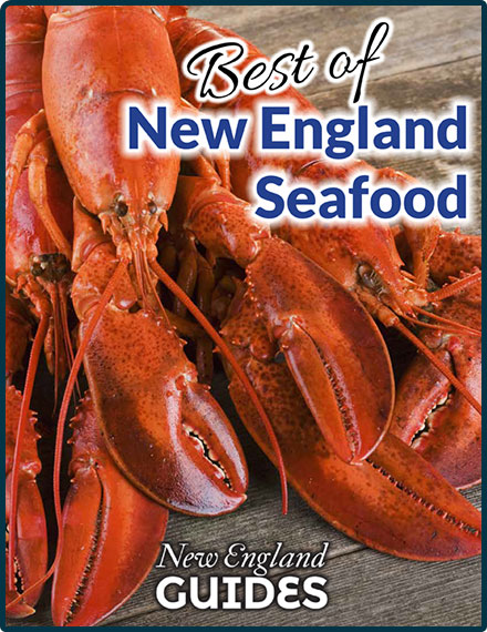 Seafood Recipes