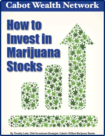 How to Invest in Marijuana Stocks