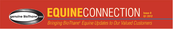 BioPlastics - Equine Connection