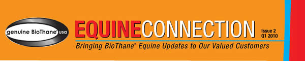 Equine Connection Q1 2010