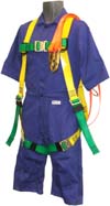 Safety Harness protects workers