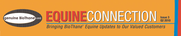 Equine Connection