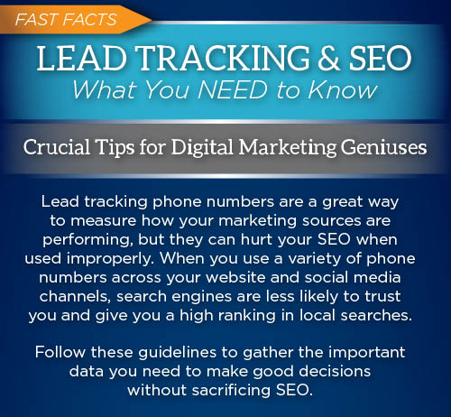 Infographic_SEO-Lead