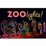 Zoo Lights!