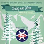 Skiing and Birds
