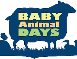 Baby Animal Days