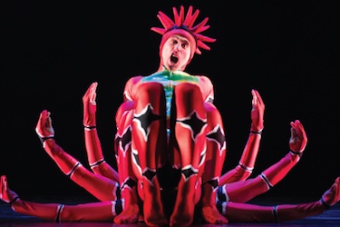 Momix: Opus Cactus