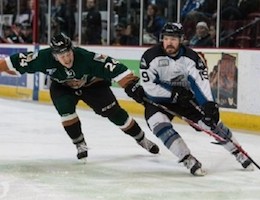 Utah Grizzlies