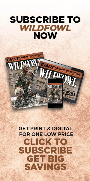 Subscribe to Wildfowl Now!
