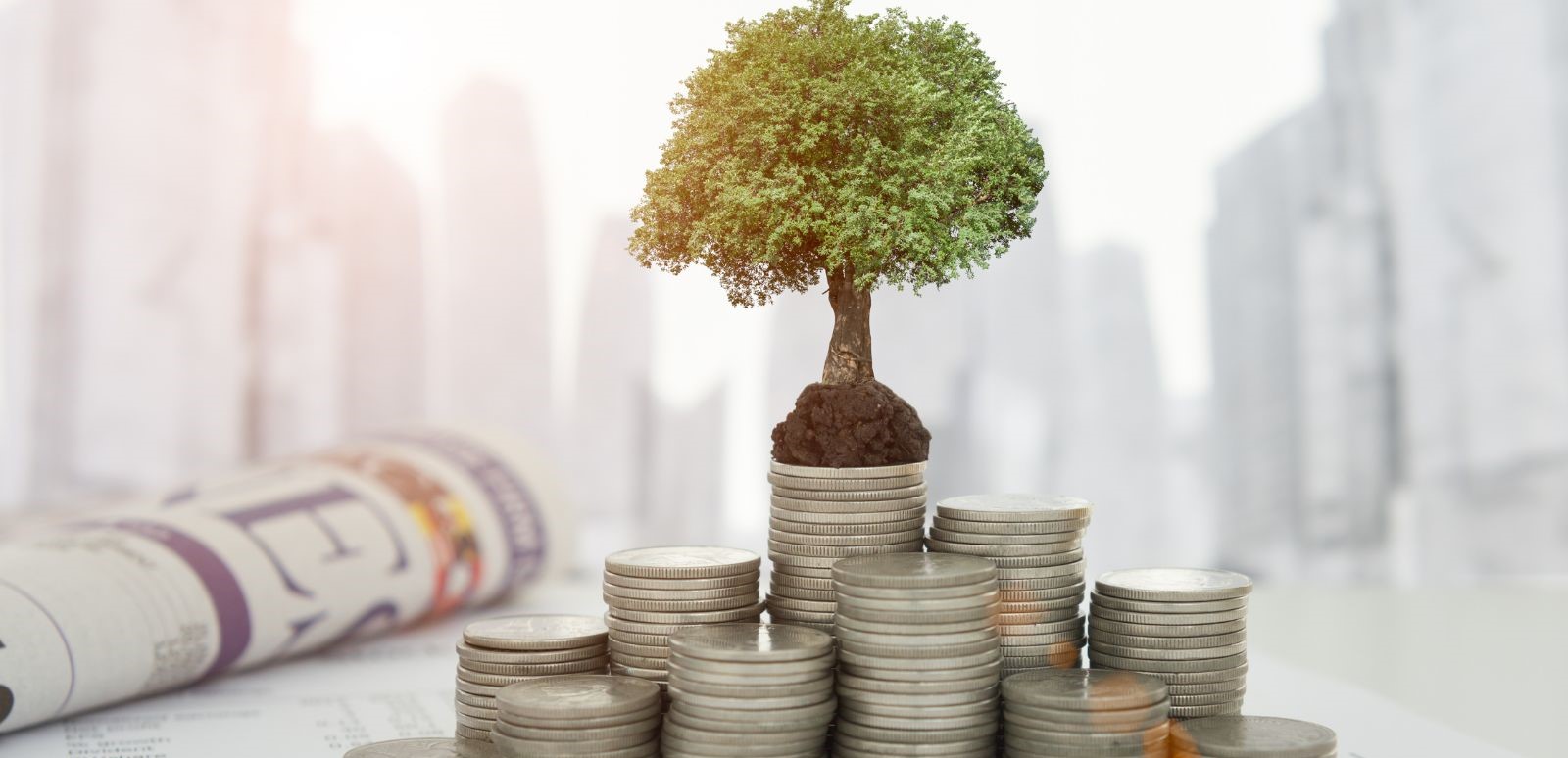 Picture of stacks of coins with a tree growing from the middle stack