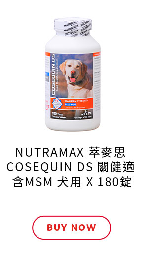 NUTRAMAX 萃麥思 COSEQUIN DS 關健適 含MSM 犬用 X 180錠