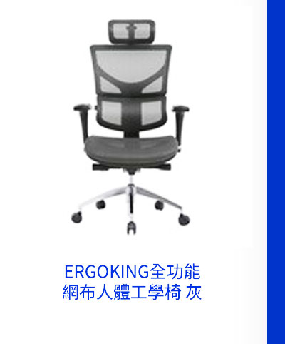 ERGOKING全功能網布人體工學椅 灰