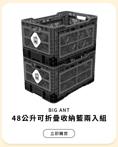 BIG ANT 48公升可折疊收納籃兩入組