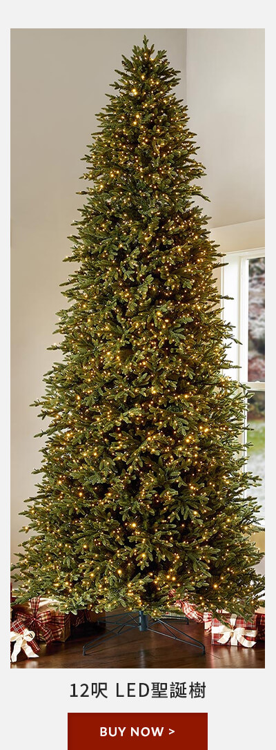 12 呎 LED 聖誕樹