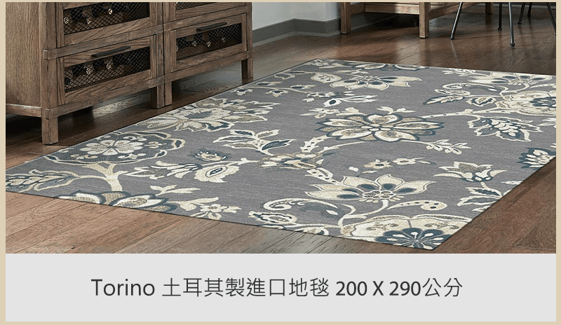 Torino 土耳其製進口地毯 200 X 290公分