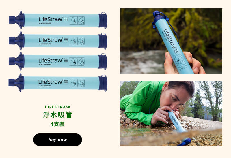 LIFESTRAW 淨水吸管 4支裝