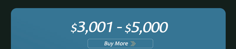 $3,001~$5,000