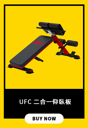 UFC 二合一仰臥板