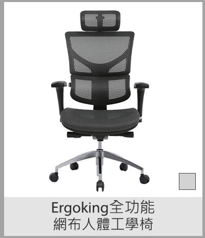 Ergoking全功能網布人體工學椅