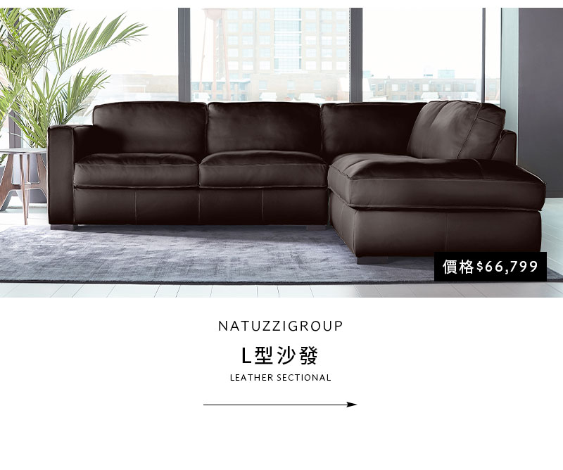 NATUZZIGROUP L型沙發