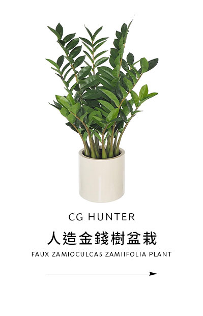 CG HUNTER 人造金錢樹盆栽