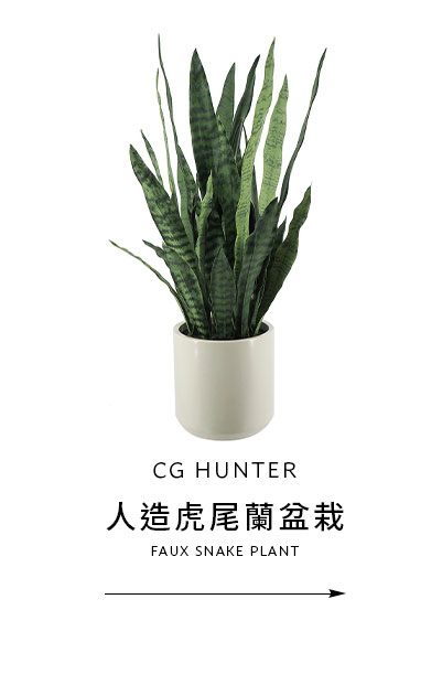 CG HUNTER 人造虎尾蘭盆栽