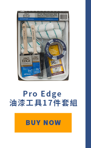 Pro Edge 油漆工具17件套組