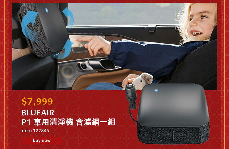 BLUEAIR P1 車用清淨機 含濾網一組