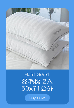 Hotel Grand 羽毛枕 2入 50 X 71公分