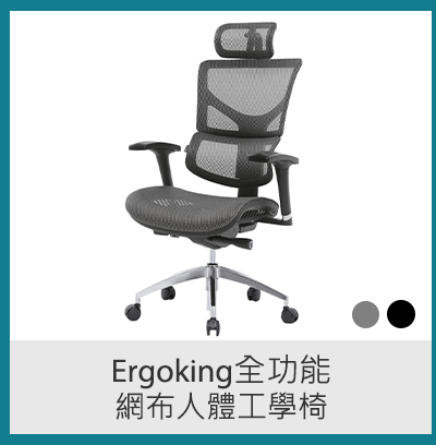 Ergoking全功能網布人體工學椅