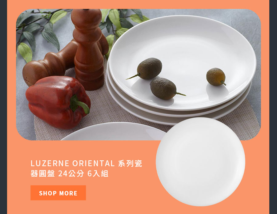 LUZERNE ORIENTAL 系列瓷器圓盤 24公分 6入組