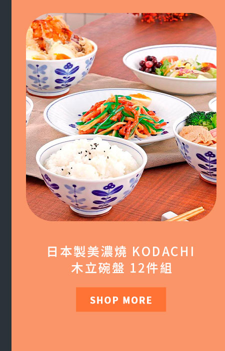 日本製美濃燒 KODACHI 木立碗盤 12件組