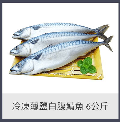 冷凍薄鹽白腹鯖魚 6公斤