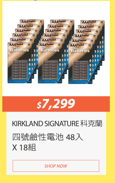 KIRKLAND SIGNATURE 科克蘭 四號鹼性電池 48入 X 18組