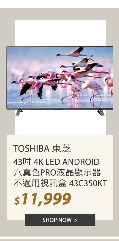 東芝 43吋 4K LED ANDROID 六真色PRO液晶顯示器不適用視訊盒 43C350KT