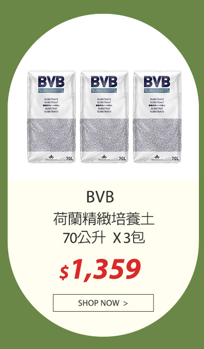 BVB 荷蘭精緻培養土 70公升 X 3包