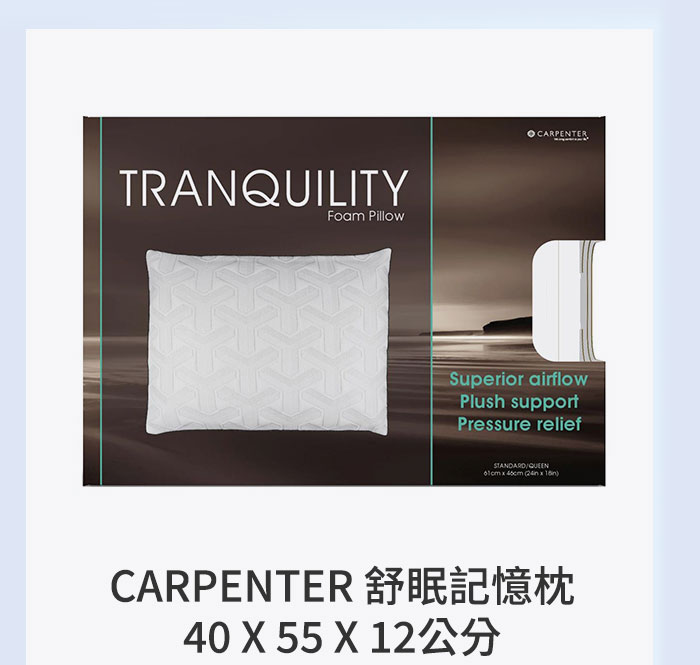 CARPENTER 舒眠記憶枕 40 X 55 X 12公分