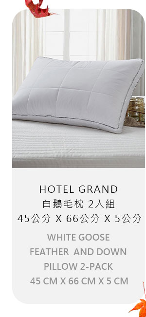 HOTEL GRAND 白鵝毛枕 2入組 45公分 X 66公分 X 5公分